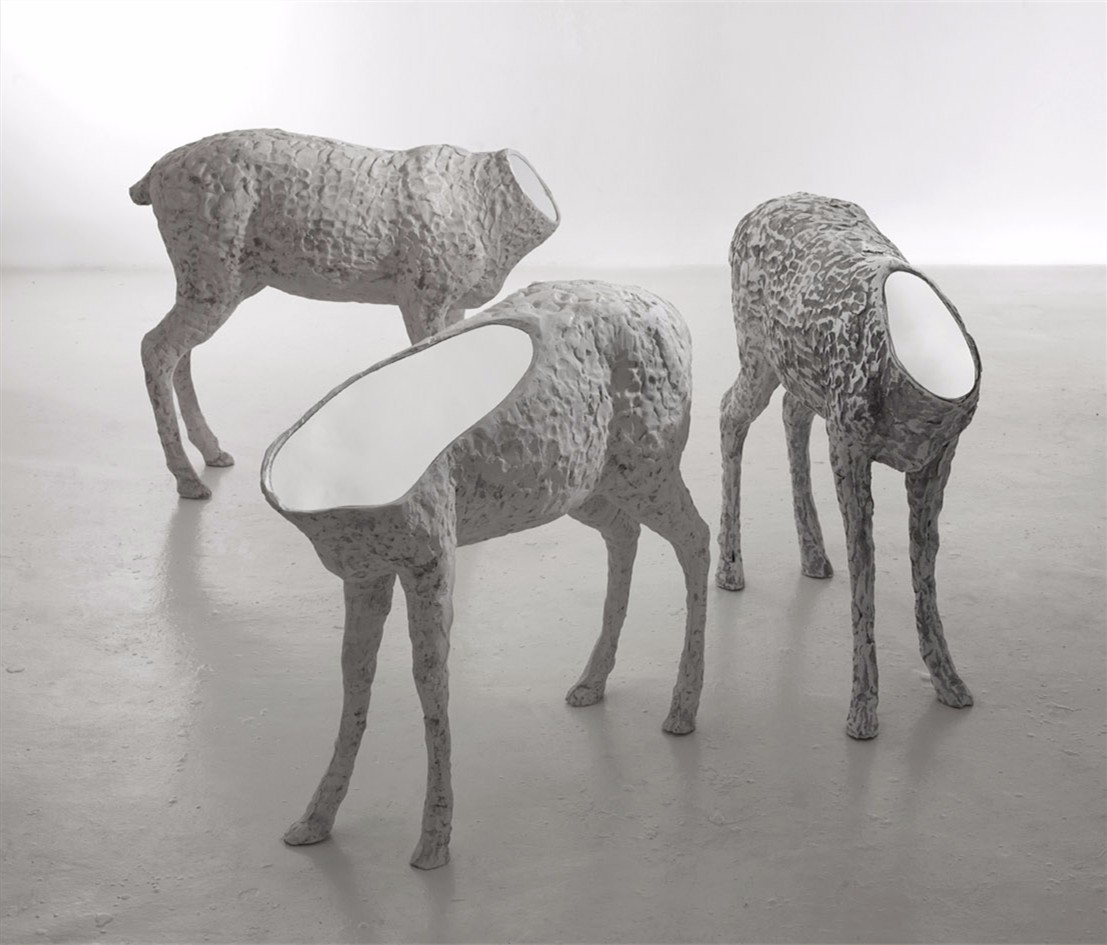 1486608541557800.jpg 14.jpg