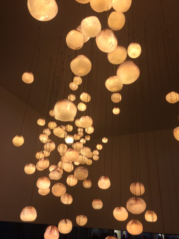 1491447663414703.jpg 4a6699151576c1137f93ffe2223c67fb_.jpg