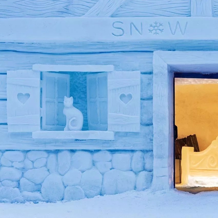 1515987602293121.jpg 640.webp (5).jpg