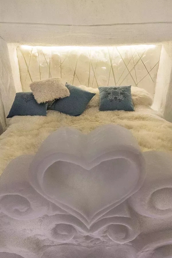 1515987624667528.jpg 640.webp (6).jpg