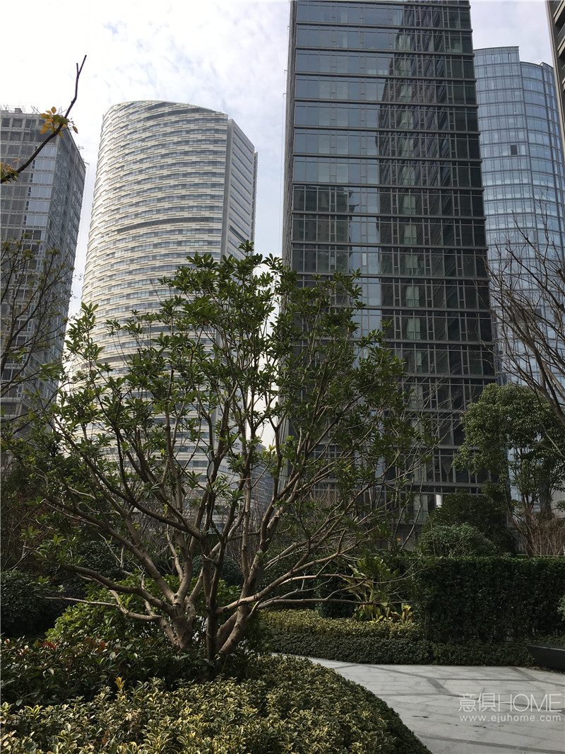 1518147455586532.jpg IMG_3468.jpg