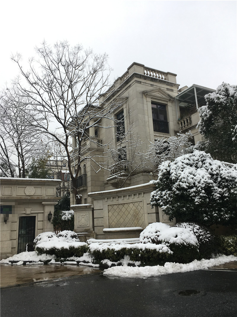 1519454462714084.jpg IMG_2106.JPG