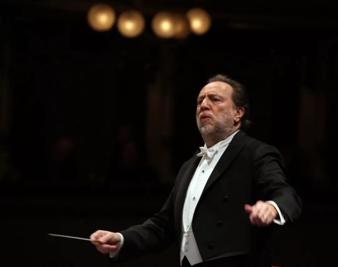 1554715106654564.jpg 15.jpg