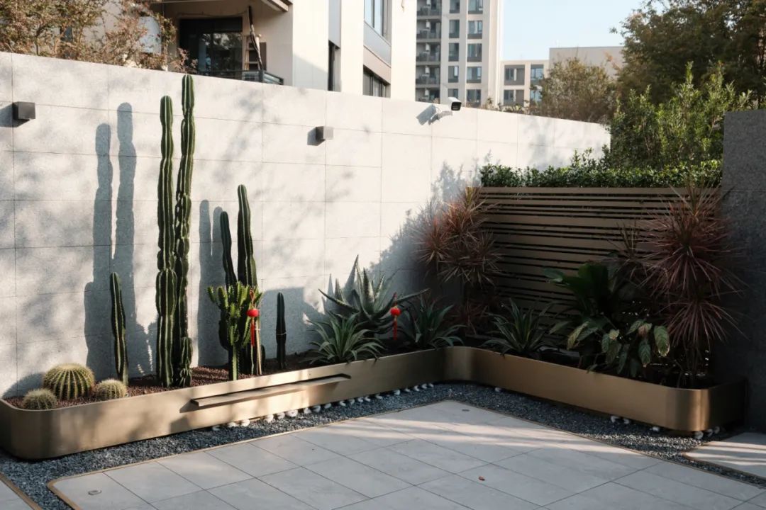 1701049704331374.jpg 640.jpg