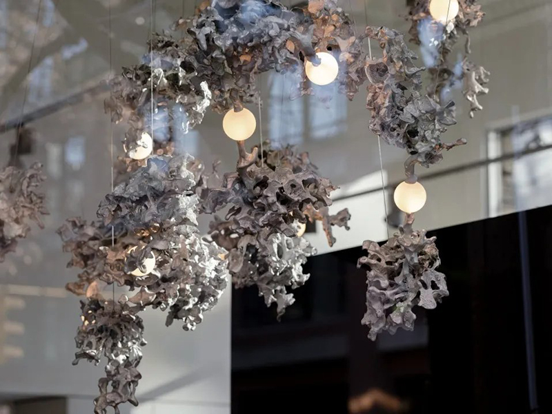 1713251076227483.jpg 21.jpg