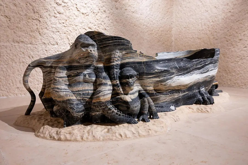 1715152447915196.jpg 5.jpg