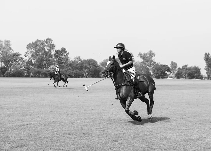 1721292879563312.jpg 10.jpg