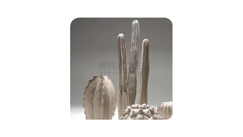 SCULTURE DOMESTICHE 配飾