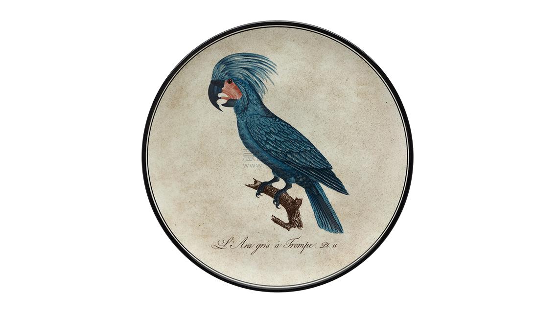 PIATTO DA MURO10盤子