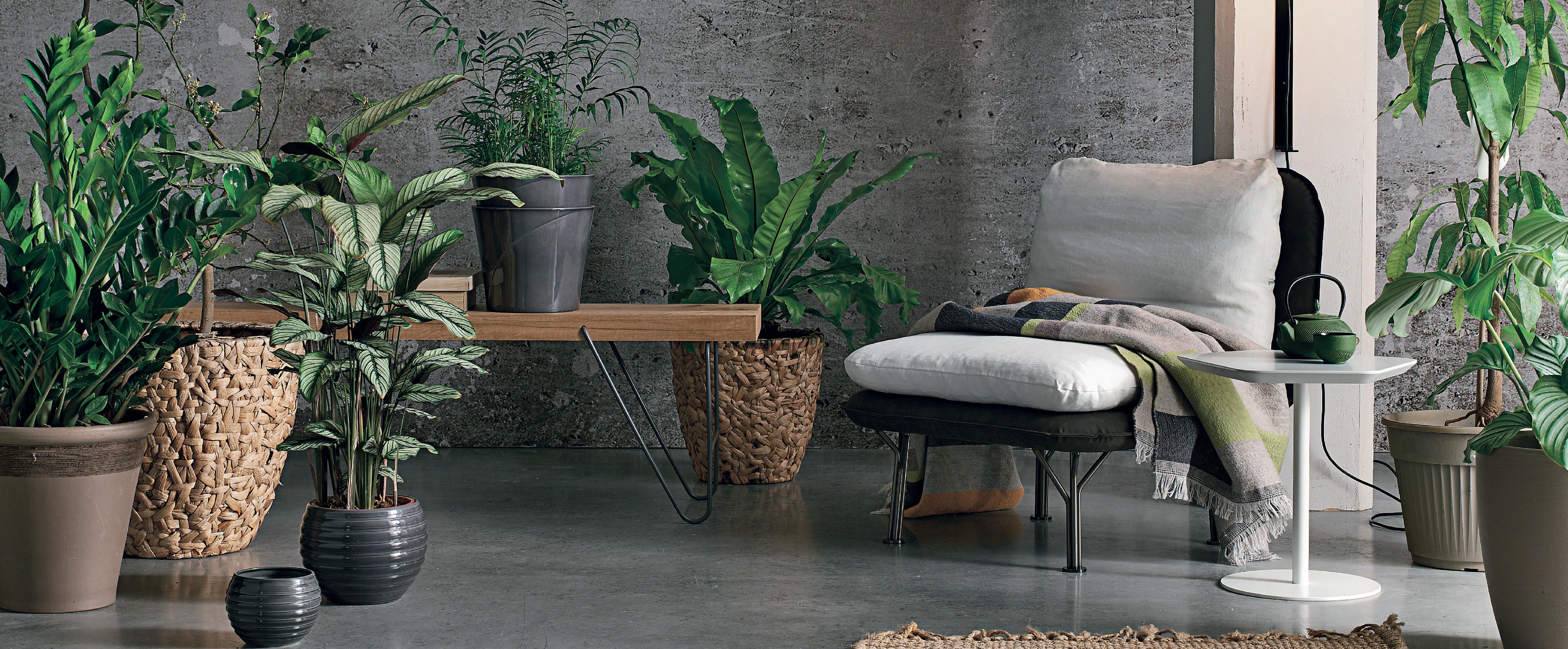 MAYA OCCASIONAL CHAIR休閑椅