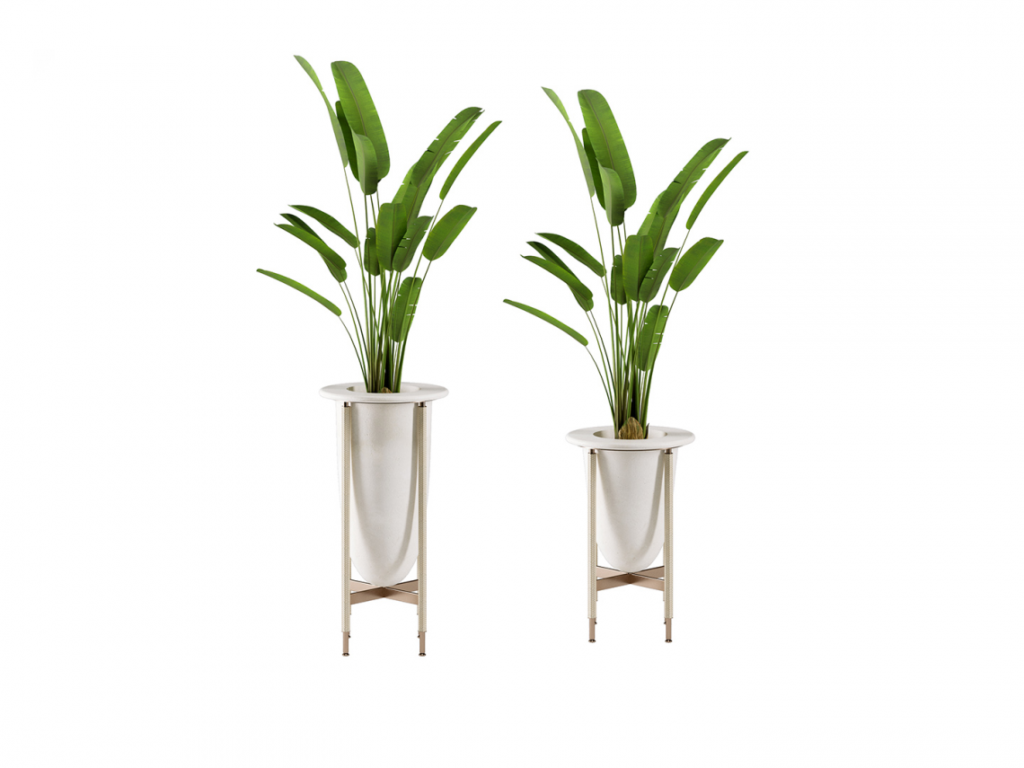 Accra cachepot花盆