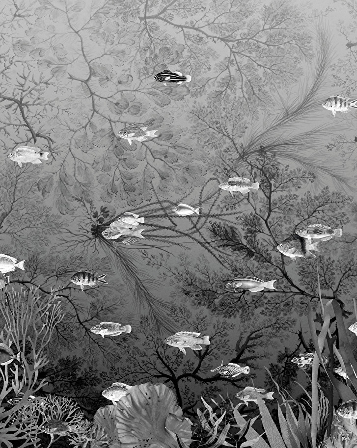 Devon&DevonSamoa Black&White Wallpaper墻紙